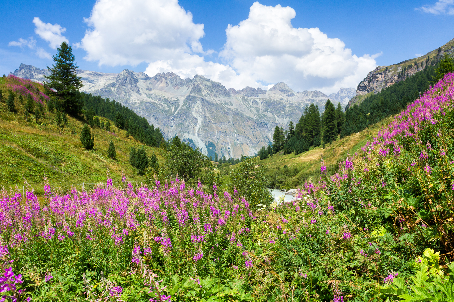 wandelen-zwitserland