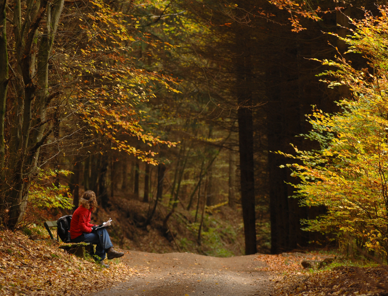 Herfstvakantie Frankrijk