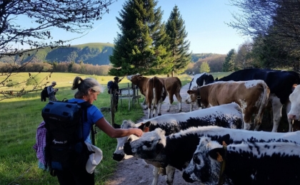 Frankrijk Vogezen wandelvakantie