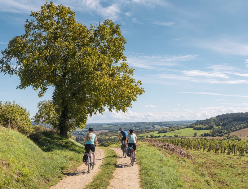 Fietsvakantie met SNP Natuurreizen