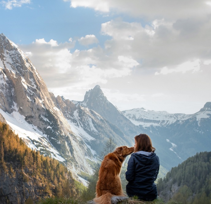 Huttentocht met hond