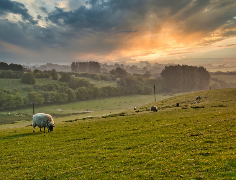 Fiets vakantie Lincolnshire