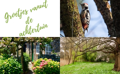 Ansichtkaart achtertuin