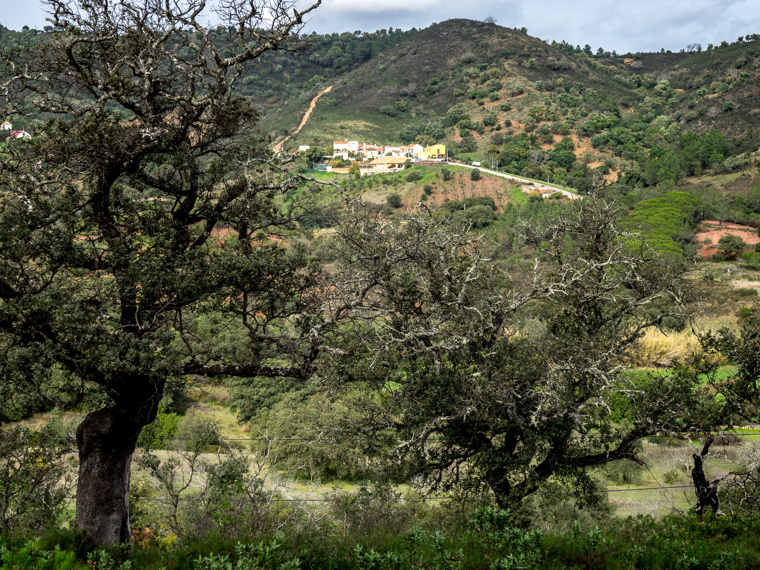 Portugal Via Algarviana