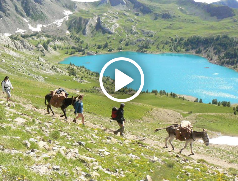 ezelvakantie Mercantour Frankrijk