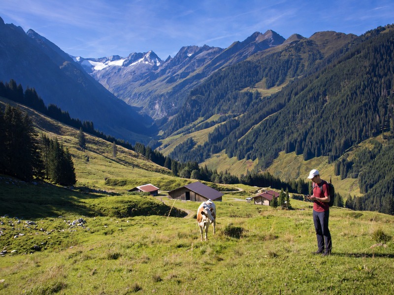 SNP Reis App wandelaar die de SNP Reis App checkt op Alpenweide in Oostenrijk