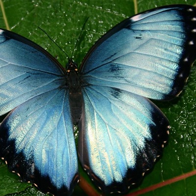 actieve vakantie Costa Rica