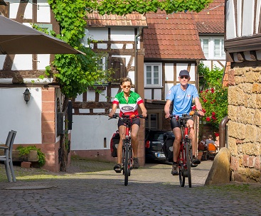 fietsvakantie duitsland