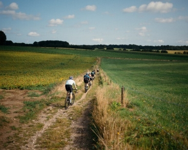 Fietsen door Nederlands landschap