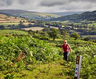wandelvakantie ierland