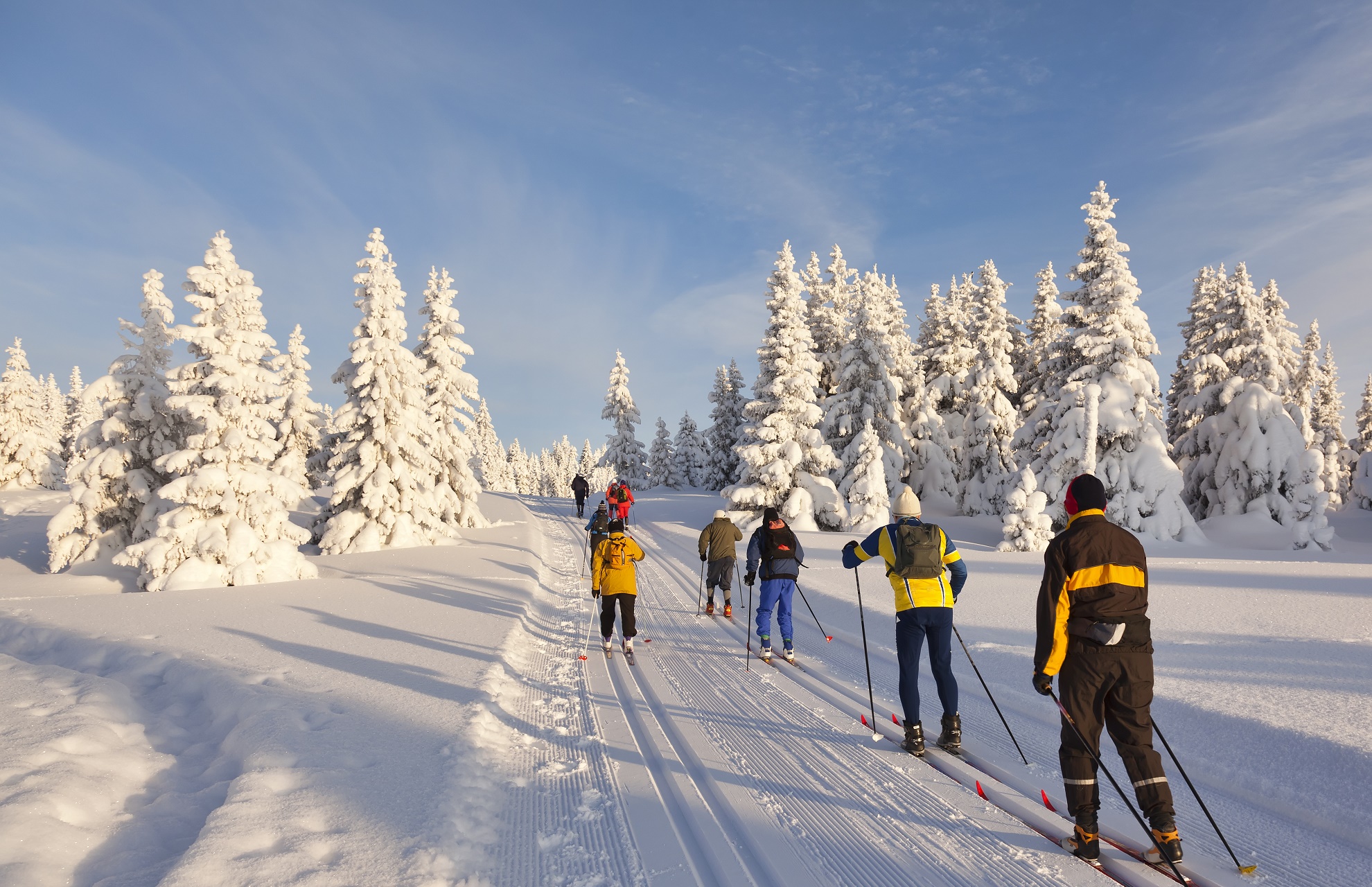 Top 5 langlaufreizen