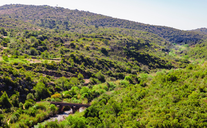Wandelen met bagagevervoer