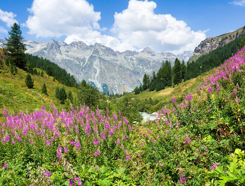 Wandelen met bagagevervoer