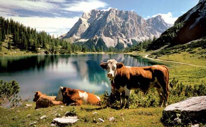 Wandelen met bagagevervoer