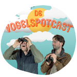 op reis met de vogelspotcast