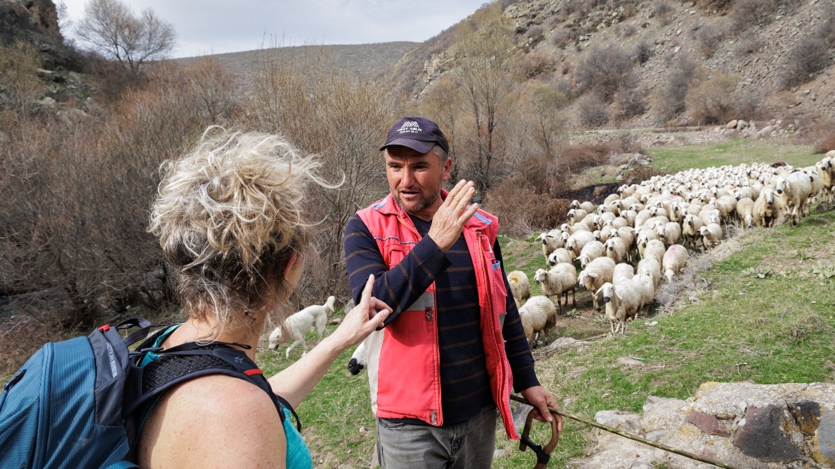 Schaapsherder Atilla wijst de weg. Wandeldag 2: van Ihlara stroomopwaarts langs de Melendiz-rivier via Ilisu naar Cardak.