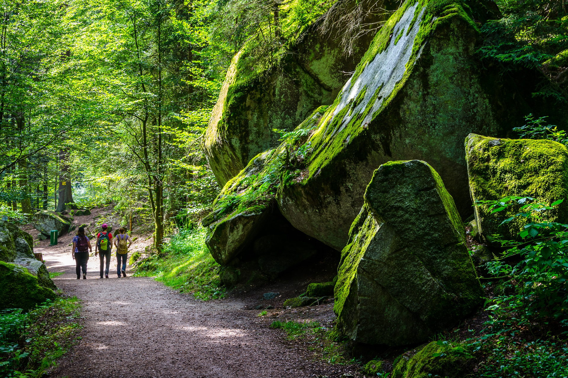 Wandelen voor beginners