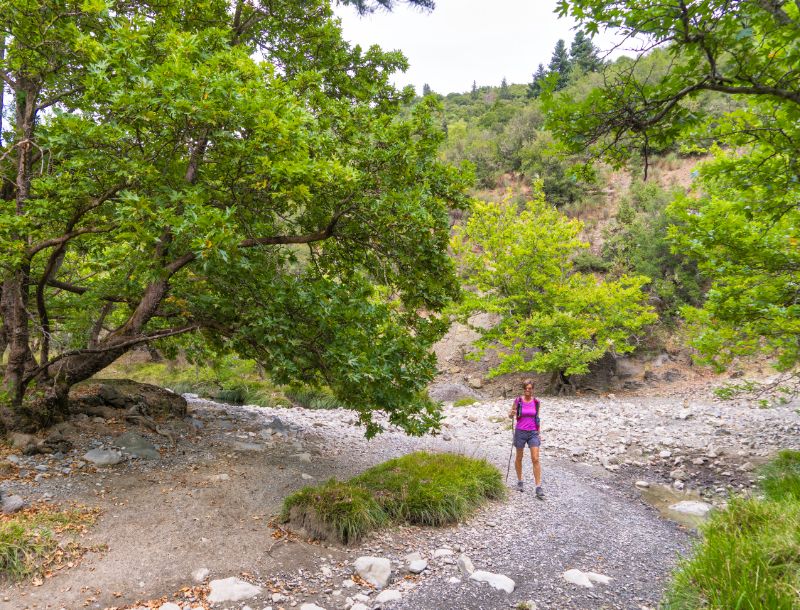 Griekenland Menalon Trail