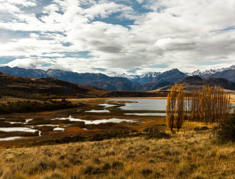 header Hilda Harshagen Chili