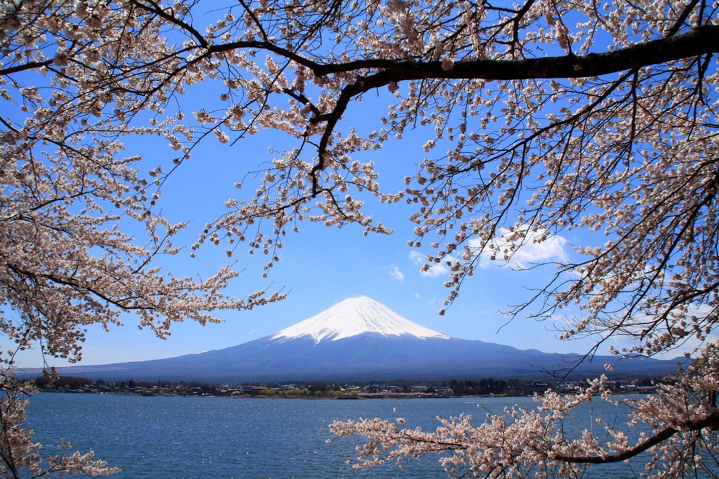 mount_fuji.jpg