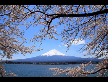 mount_fuji.jpg