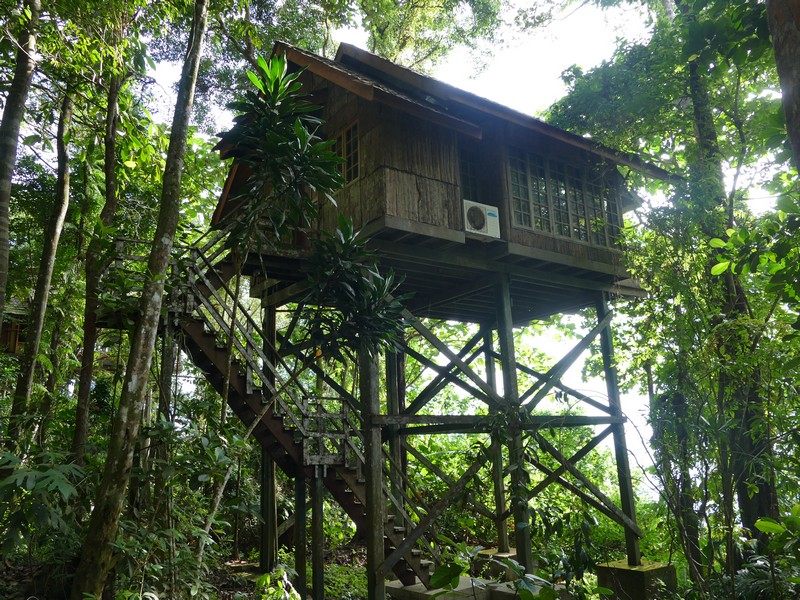 128_Permai_Ranforest_Resort_Damai_Beach.jpg
