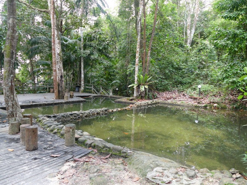 133_Permai_Ranforest_Resort_jungle_pool_Damai_Beach.jpg