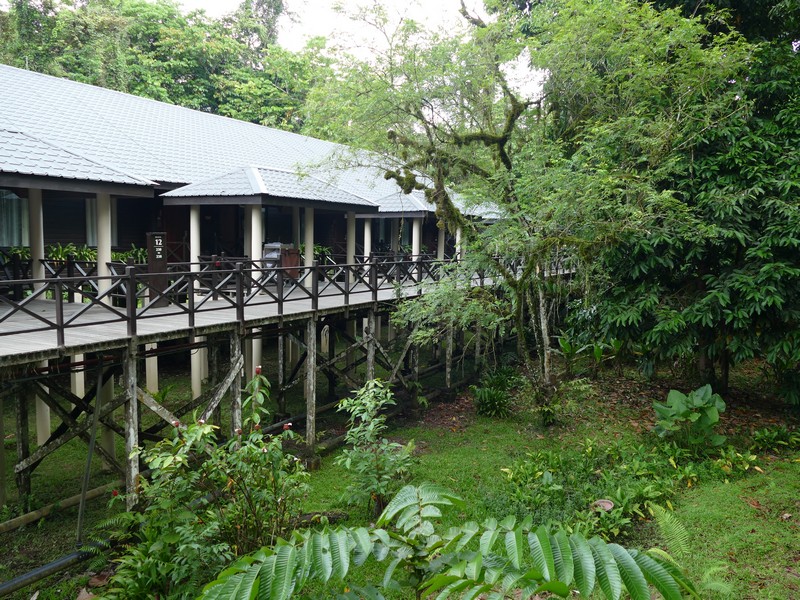 185_Marriott_Mulu1.jpg