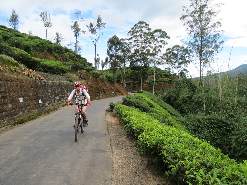 Sri Lanka - Individuele fietsreis