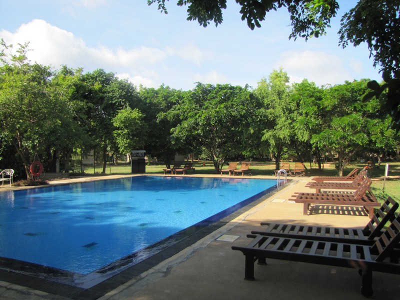 094_Kasapa_Lions_pool.jpg