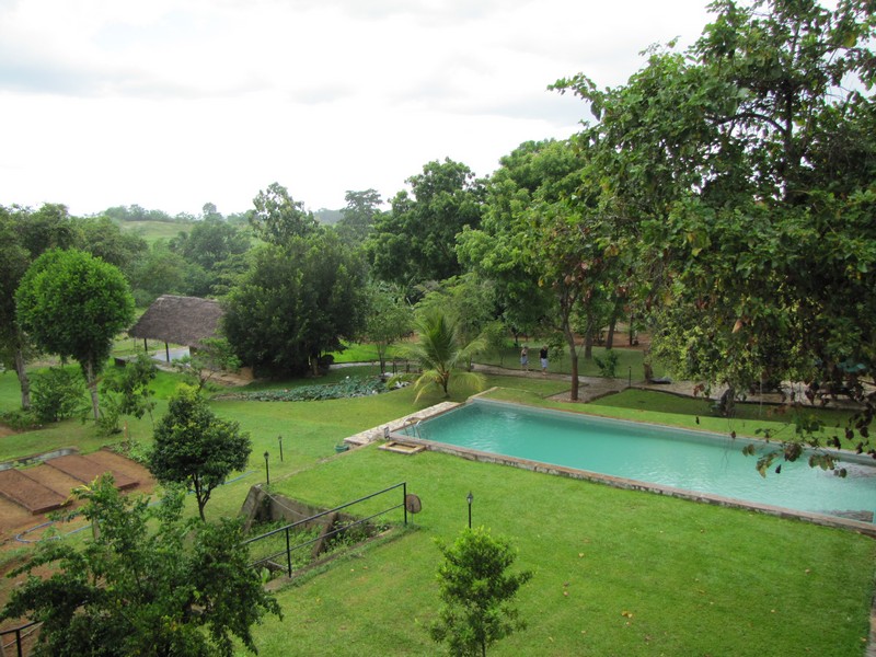 205_Kalu's_pool___garden.jpg