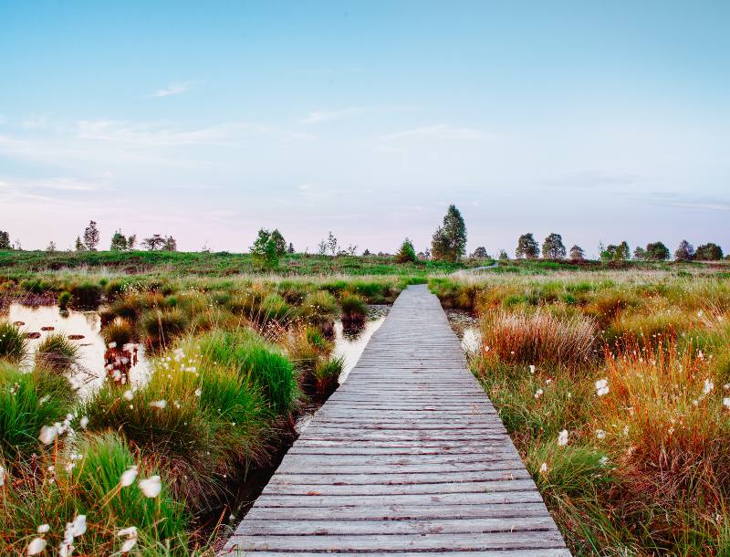 Venntrilogie, 110 km hike