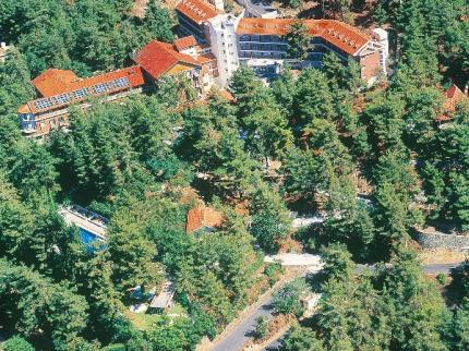 forest-park-1.jpg