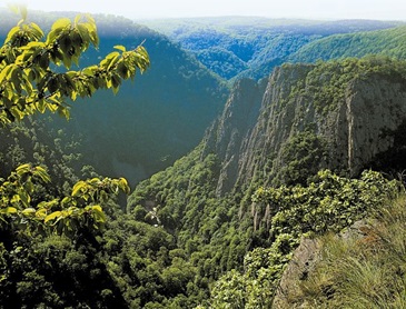 het_bode_thal_de_diepste_vallei_van_de_harz.jpg