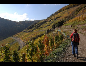 wandelen-ahrtal