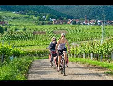 Pfalz