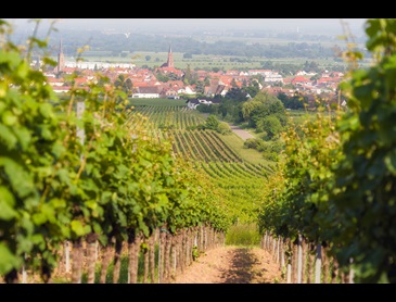 Pfalz