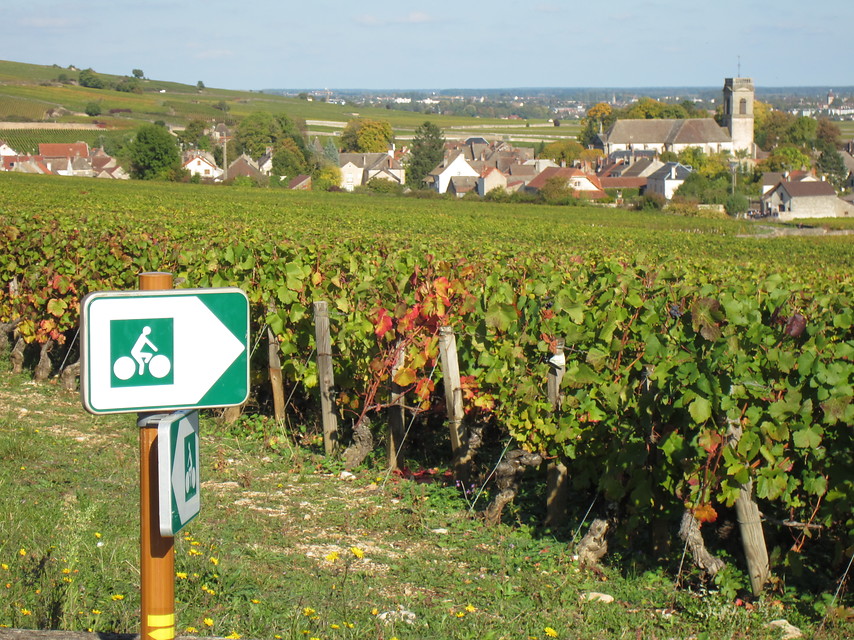 Frankrijk - Bourgogne