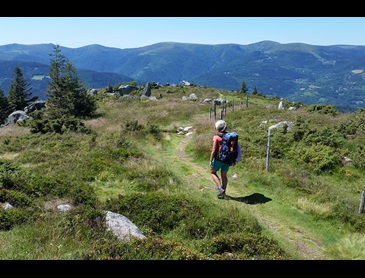 wandelen-vogezen