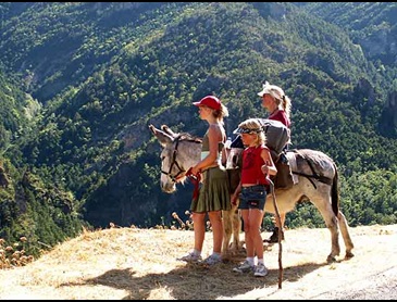 ezeltocht_oostelijke_pyreneeen.jpg