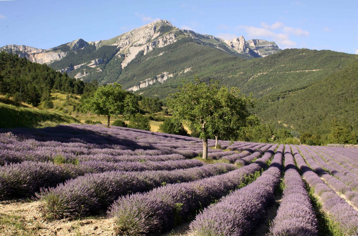 Frankrijk - Vercors-Drômois