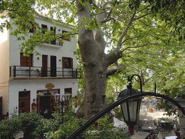 uitzicht_op_het_hotel.jpg