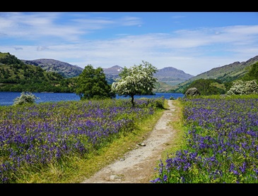 West Highland Way