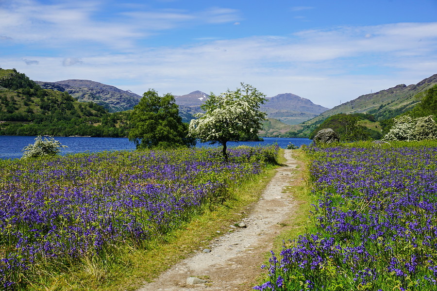 Groot-Brittannië - West Highland Way