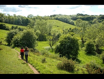 wandelen_in_de_gorne_heuvels_van_de_Cotswolds_PvD.jpg