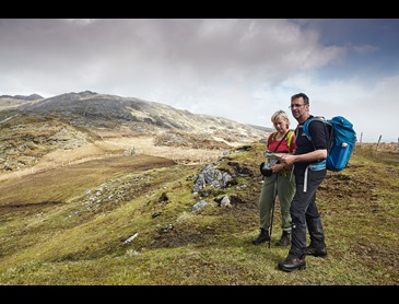 Map_check_on_the_way_to_Adrigole_2_Op_Pad_-_Jonathan_Andrew.jpg