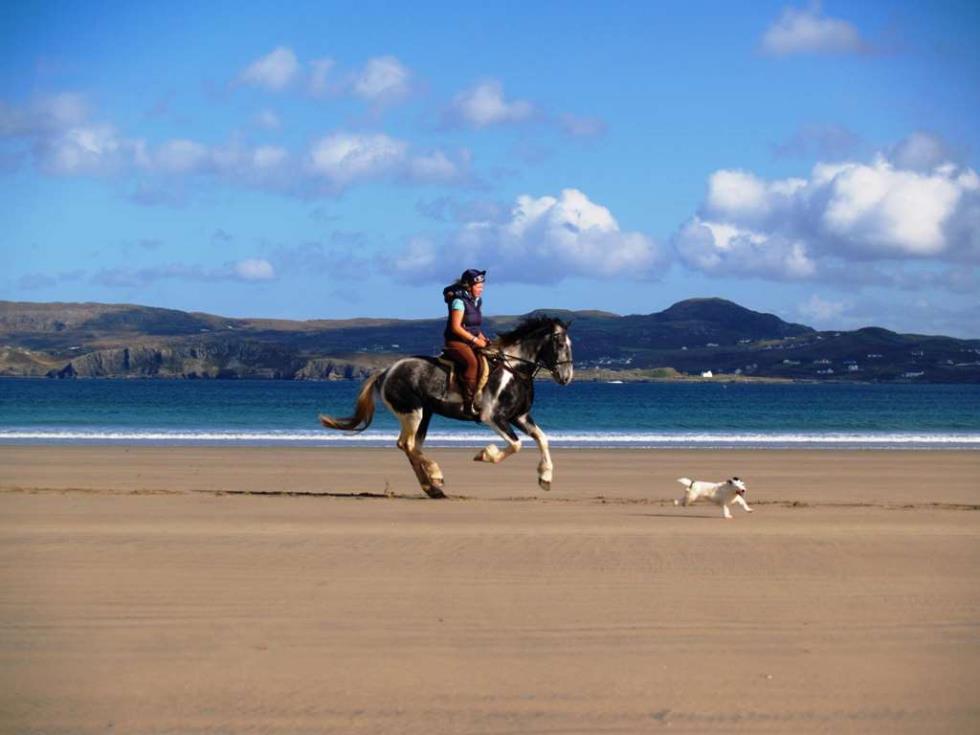 arnolds-hotel-dunfanaghy-horse-on-beach.jpg