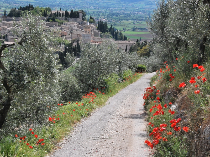 Italië - Umbrië zuid