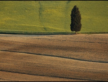 f01.jpg