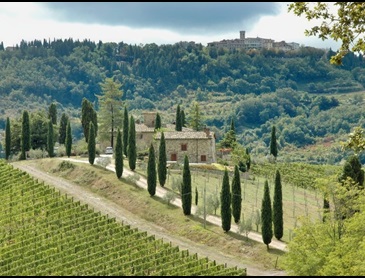 Mooie uitzichten tijdens de wandelvakantie door de Toscaanse Val d'Orcia